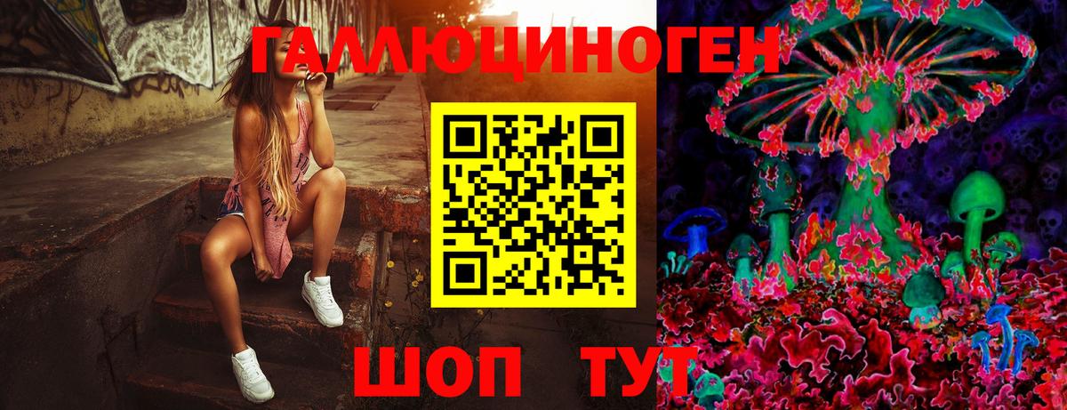 Псилоцибиновые грибы Cubensis Хабаровск
