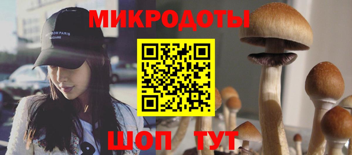 Галлюциногенные грибы Magic Shrooms  Вход с VPN  наркота  Галлюциногенные грибы мицелий  Хабаровск 